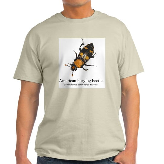 CafePress - Nicrophorus Americanus Light T Shirt - Men's Classic Cotton T-Shirts