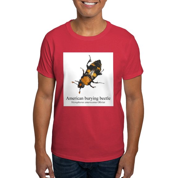 CafePress - Nicrophorus Americanus Men's Value T Shirt - Men's Classic Graphic Cotton T-Shirt