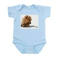 thumbnail image 1 of CafePress - Norfolk And Frog Infant Bodysuit - Baby Light Bodysuit, Size Newborn - 24 Months, 1 of 4