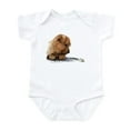 thumbnail image 1 of CafePress - Norfolk And Frog Infant Bodysuit - Baby Light Bodysuit, Size Newborn - 24 Months, 1 of 4