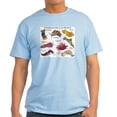 thumbnail image 1 of CafePress - Nudibrachs Of The World Light T Shirt - Men's Classic Graphic T-Shirt, 1 of 4