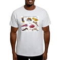 thumbnail image 1 of CafePress - Nudibrachs Of The World Light T Shirt - Men's Classic Graphic T-Shirt, 1 of 4