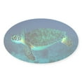 thumbnail image 1 of CafePress - Ocean Turtle Sticker - Sticker (Oval), 1 of 1