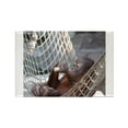 thumbnail image 1 of CafePress - Orangutan014 Magnets - Rectangle Magnet, 2"x3" Refrigerator Magnet, 1 of 3