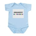 thumbnail image 1 of CafePress - Organist In Training Infant Bodysuit - Baby Light Bodysuit, Size Newborn - 24 Months, 1 of 4