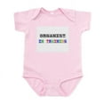 thumbnail image 1 of CafePress - Organist In Training Infant Bodysuit - Baby Light Bodysuit, Size Newborn - 24 Months, 1 of 4