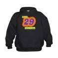 thumbnail image 1 of CafePress - Party At My Place - Kids Hooded Sweatshirt, Classic Hoodie, 1 of 4