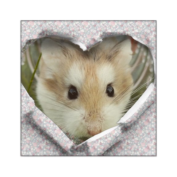 CafePress - Peep Hole Hamster Sticker - Square Sticker 3" x 3"