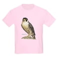 thumbnail image 1 of CafePress - Peregrine Falcon Bird Kids Light T Shirt - Light Classic Kids Graphic, Short Sleeve T-Shirt, Sizes XS-XL, 1 of 5