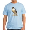 thumbnail image 1 of CafePress - Peregrine Falcon Bird Light T Shirt - Light T-Shirt - CP, 1 of 4