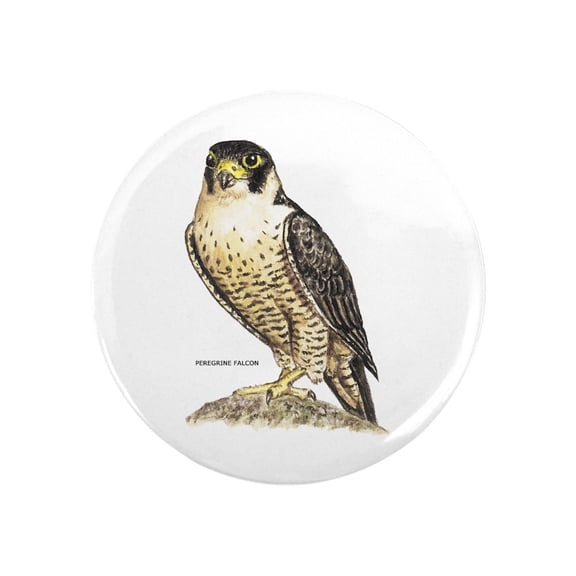 CafePress - Peregrine Falcon Bird Magnet - 2.25" Round Magnet, Refrigerator Magnet, Button Magnet Style
