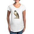 thumbnail image 1 of CafePress - Peregrine Falcon Bird Maternity T Shirt - Cotton Maternity T-shirt, Cute & Funny Pregnancy Tee, 1 of 4