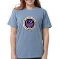 thumbnail image 1 of CafePress - Pi Sigma Epsilon National Alumni Association T Shirt - Womens Comfort Colors® Shirt, 1 of 4