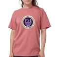 thumbnail image 1 of CafePress - Pi Sigma Epsilon National Alumni Association T Shirt - Womens Comfort Colors® Shirt, 1 of 4