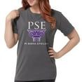 thumbnail image 1 of CafePress - Pi Sigma Epsilon Pillar Logo T Shirt - Womens Comfort Colors® Shirt, 1 of 4
