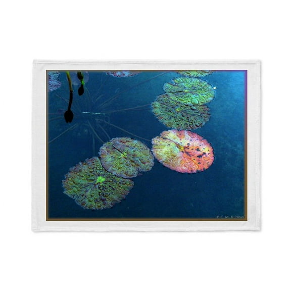 CafePress - Pink Lily Pad - Soft Fleece Throw Stadium Blanket, 30"x40"