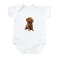 thumbnail image 1 of CafePress - Poodle (Apricot2) Infant Bodysuit - Baby Light Bodysuit, Size Newborn - 24 Months, 1 of 4