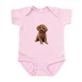 thumbnail image 1 of CafePress - Poodle (Apricot2) Infant Bodysuit - Baby Light Bodysuit, Size Newborn - 24 Months, 1 of 4