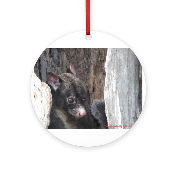 CafePress - Possum Awake In Tree - Round Wood Ornament 4"