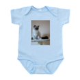 thumbnail image 1 of CafePress - Ragdoll Body Suit - Baby Light Bodysuit, Size Newborn - 24 Months, 1 of 4