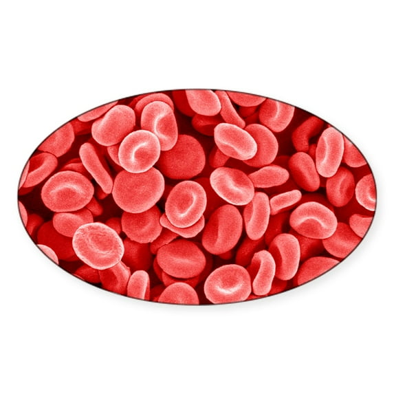 CafePress - Red Blood Cells, SEM - Sticker (Oval)