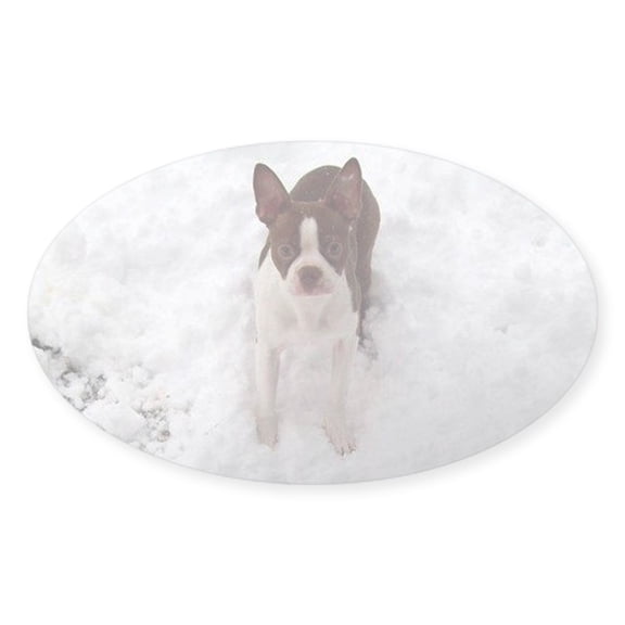 CafePress - Red Boston Terrier - Sticker (Oval)