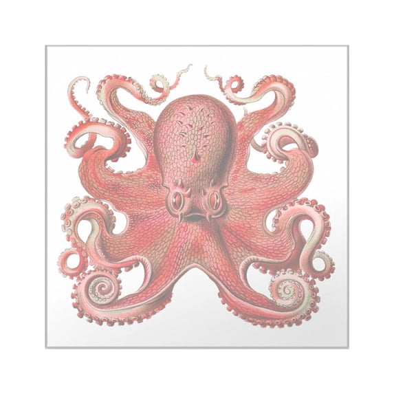 CafePress - Red Octopus Square Sticker 3 X 3 - Square Sticker 3" x 3"