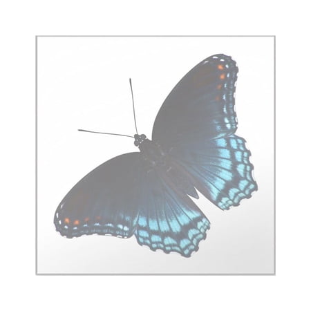 CafePress - Red Spotted Purple Butterfly Sticker - Square Sticker 3" x 3"