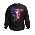 thumbnail image 1 of CafePress - Republican Democrat Kids Sweatshirt - Kids Sweatshirt, Youth Crew Neck Sweatshirt, 1 of 4