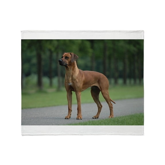 CafePress - Rhodesian Ridgeback Full 2 Throw Blanket - Soft Fleece Throw Blanket, 50"x60" for All Ages