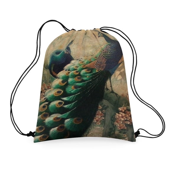 CafePress - Romantic Paris Vintage Peacock - Colorful 16"x20" Drawstring Bag