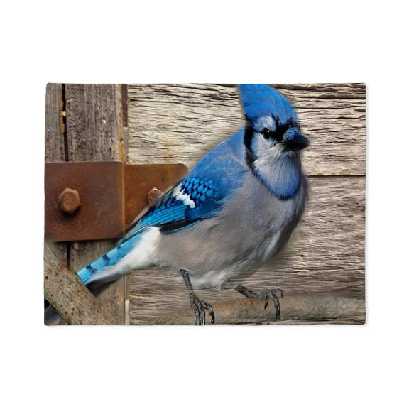 CafePress - Rustic Barn Wood Blue Jay - Soft Fleece Throw Stadium Blanket, 30"x40"