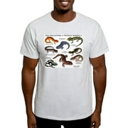 CafePress - Salamanders Of North America Light T Shirt - Light T-Shirt - CP