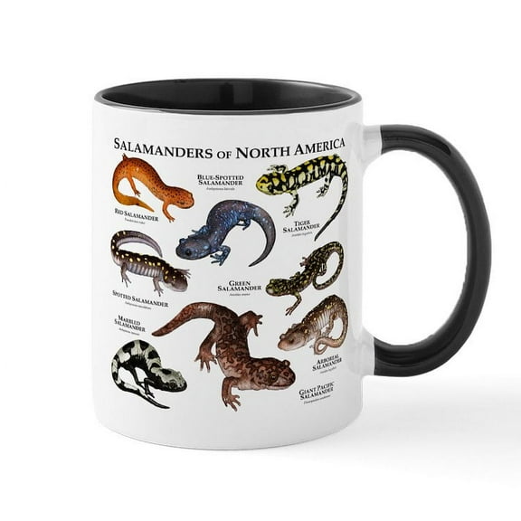 CafePress - Salamanders Of North America Mug - 11 oz Ceramic Mug - Novelty Coffee Tea Cup