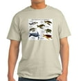 thumbnail image 1 of CafePress - Sea Turtles Of The World Light T Shirt - Men's Classic Graphic T-Shirt, 1 of 4
