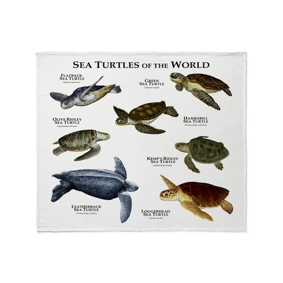 CafePress - Sea Turtles Of The World Throw Blanket - Soft Fleece Throw Blanket, 50"x60" for All Ages