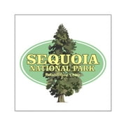 CafePress - Sequoia National Park Sticker - Square Sticker 3" x 3"
