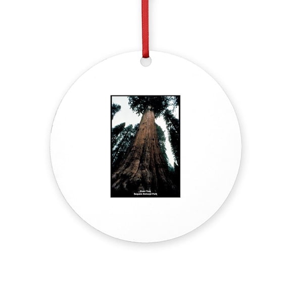 CafePress - Sequoia National Park Tree - Round Wood Ornament 4"