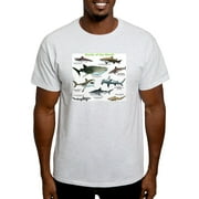 CafePress - Sharks Of The World Light T Shirt - Light T-Shirt - CP