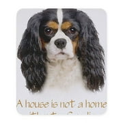 CafePress - Shirt 10X10 Mousepad - Non-slip Rubber Mousepad, Gaming Mouse Pad