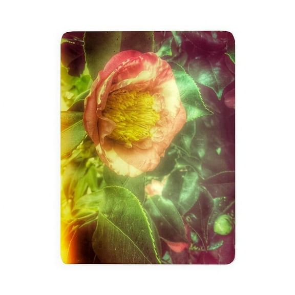 CafePress - Single Flower 2 - Large Sherpa Fleece Throw Blanket 80" x 60"