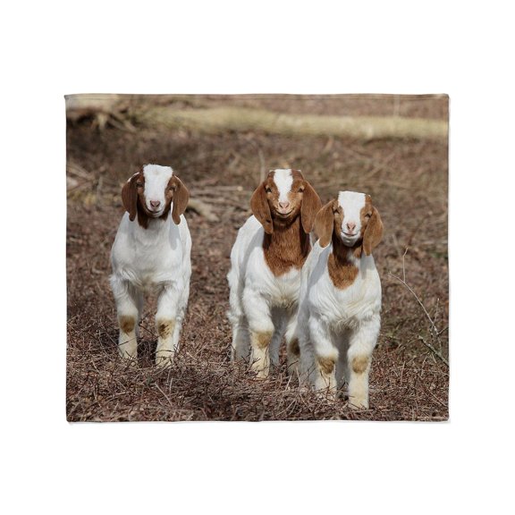 CafePress - Smiling Goats Throw Blanket - Soft Fleece Throw Blanket, 50"x60" for All Ages