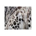 thumbnail image 1 of CafePress - Snow Leopard Throw Blanket - Soft Fleece Throw Blanket, 50"x60" for All Ages, 1 of 2