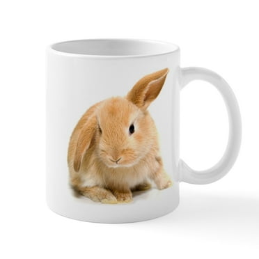 CafePress - Spring Easter Bunny 2 Mugs - 11 oz Ceramic Mug - Novelty Coffee Tea Cup