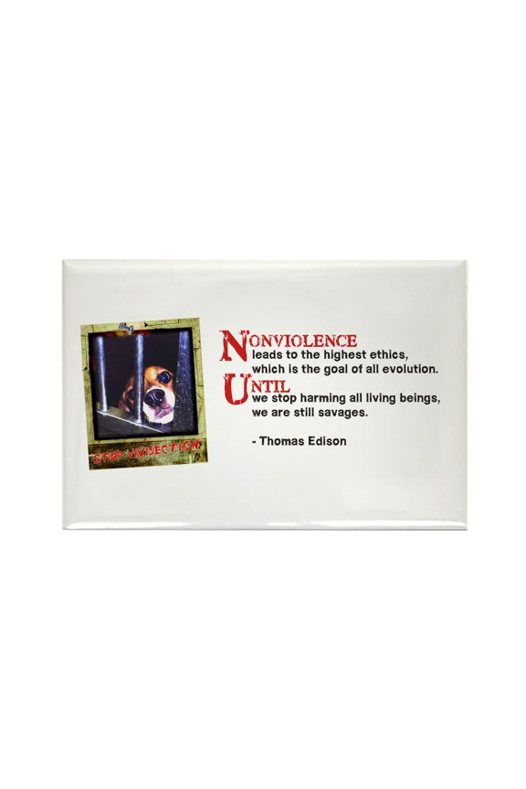 - Stop Vivisection - Rectangle Magnet, 2"x3" Refrigerator Magnet