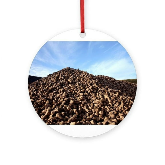 CafePress - Sugar Beet (Beta Vulgaris) -  Round Wood Ornament 4"