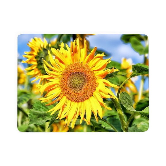 CafePress - Sunflower - Large Sherpa Fleece Throw Blanket 80" x 60"