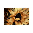 thumbnail image 1 of CafePress - Sunflower Magnets - Rectangle Magnet, 2"x3" Refrigerator Magnet, 1 of 3