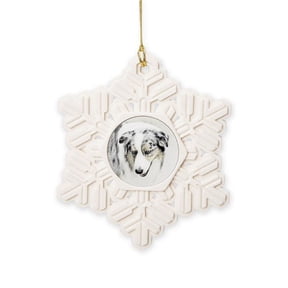 CafePress - TEMPLATE2 - Snowflake Ornament