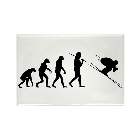 CafePress - The Evolution Of The Downhill Skier Rectangle Magn - Rectangle Magnet, 2"x3" Refrigerator Magnet